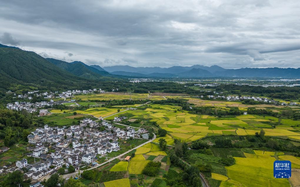 大盛娱乐登录平台